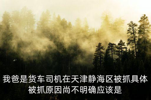 我爸是貨車司機(jī)在天津靜海區(qū)被抓具體被抓原因尚不明確應(yīng)該是
