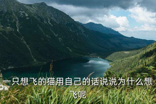 一只想飛的貓用自己的話說說為什么想飛呢