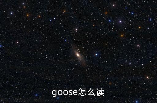 goose怎么讀