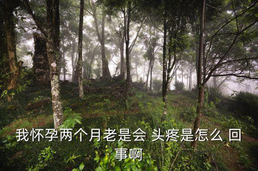 我懷孕兩個(gè)月老是會(huì) 頭疼是怎么 回事啊