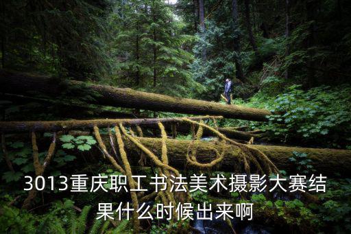 3013重慶職工書法美術攝影大賽結果什么時候出來啊