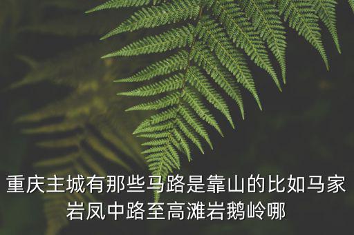 重慶主城有那些馬路是靠山的比如馬家?guī)r鳳中路至高灘巖鵝嶺哪