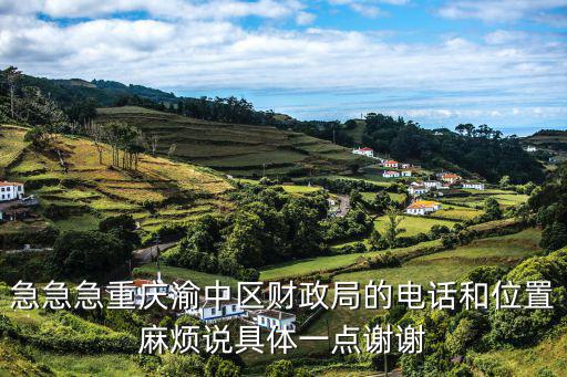 劉文成重慶市渝中區，急急急重慶渝中區財政局的電話和位置麻煩說具體一點謝謝