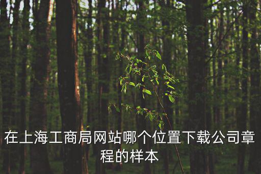 在上海工商局網站哪個位置下載公司章程的樣本