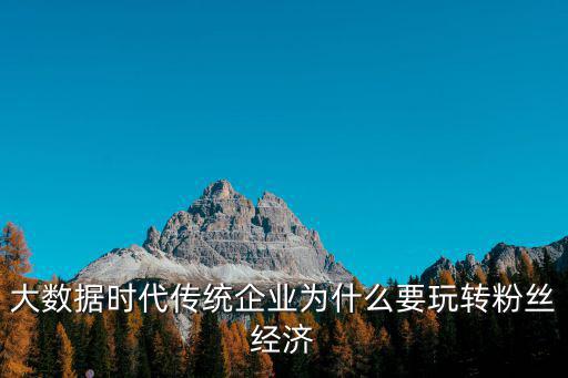 上海大數據經濟中心張向飛，十環大數據變革組織的力量