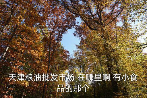 天津糧油批發市場 在哪里啊 有小食品的那個