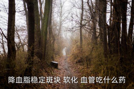 降血脂穩定斑塊 軟化 血管吃什么藥