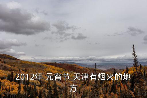 2012年 元宵節 天津有煙火的地方