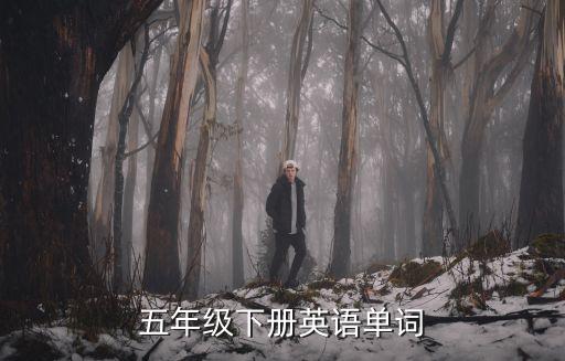 五年級(jí)下冊(cè)英語單詞，五年級(jí)英語下冊(cè)課本單詞表能否教讀