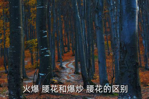  火爆 腰花和爆炒 腰花的區別