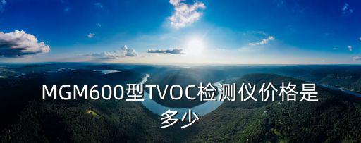 MGM600型TVOC檢測儀價格是多少