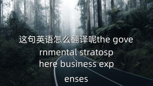 這句英語怎么翻譯呢the governmental stratosphere business expenses