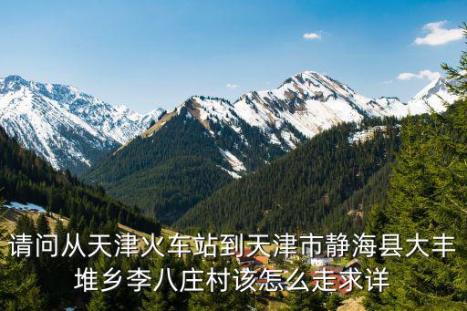 請問從天津火車站到天津市靜海縣大豐堆鄉李八莊村該怎么走求詳
