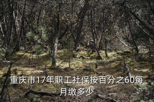 重慶市17年職工社保按百分之60每月繳多少