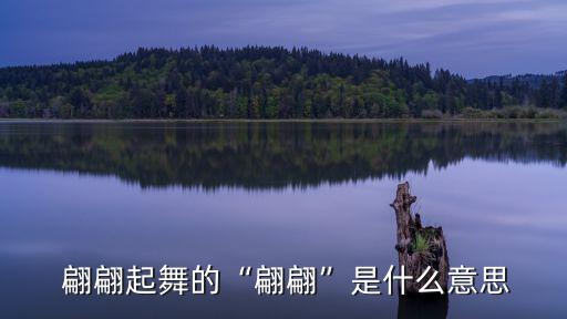  翩翩起舞的“翩翩”是什么意思