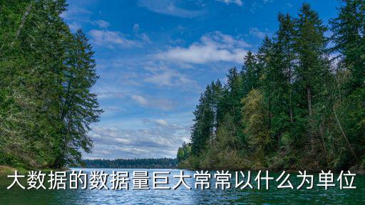 大數據的數據量巨大常常以什么為單位
