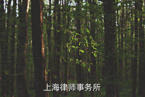 上海法浦律師事務(wù)所怎么樣，上海閘北區(qū)律師最好的是誰(shuí)
