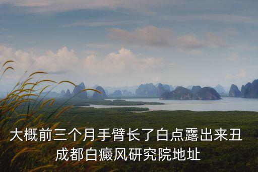 大概前三個月手臂長了白點露出來丑 成都白癜風研究院地址