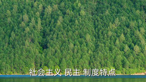 社會主義 民主 制度特點
