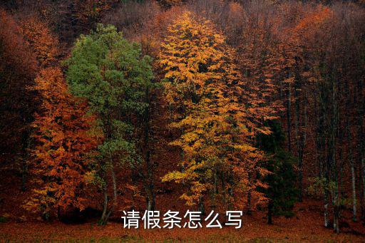 怎樣寫請假條，請假條怎么寫