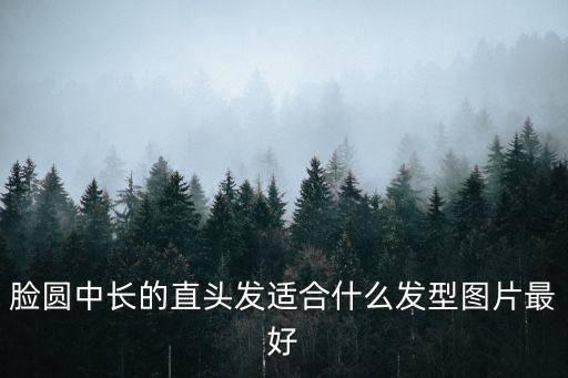 臉圓中長(zhǎng)的直頭發(fā)適合什么發(fā)型圖片最好