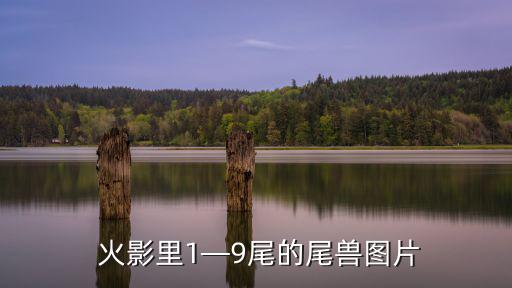  火影里1—9尾的尾獸圖片