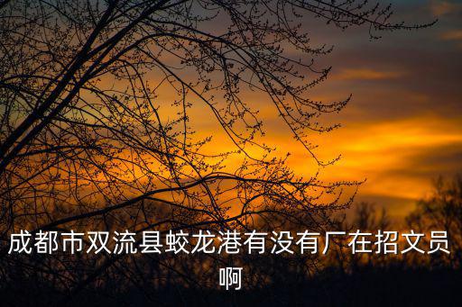成都市雙流縣蛟龍港有沒(méi)有廠在招文員啊
