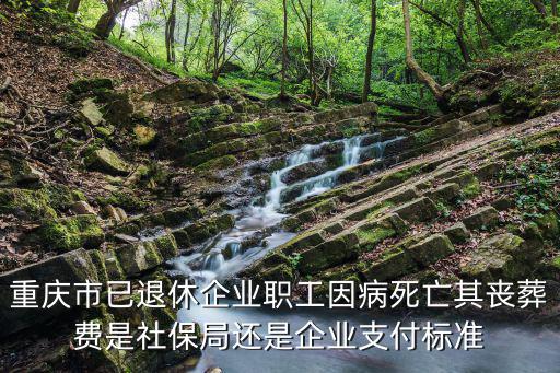重慶市病故撫恤金，重慶市已退休企業職工因病死亡其喪葬費是社保局還是企業支付標準