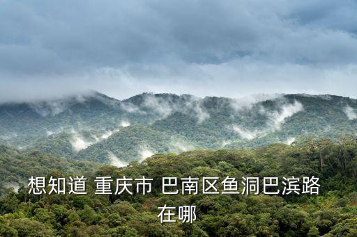 想知道 重慶市 巴南區(qū)魚洞巴濱路 在哪