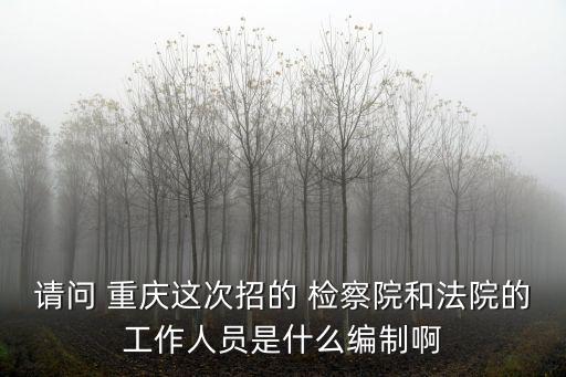 請(qǐng)問 重慶這次招的 檢察院和法院的工作人員是什么編制啊