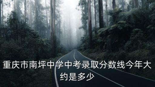 重慶市南坪中學2020年中考成績，重慶中考成績