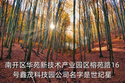 天津市星河系科技有限公司，天津市南開區衛津路18號新都大廈A座24樓是什么公司