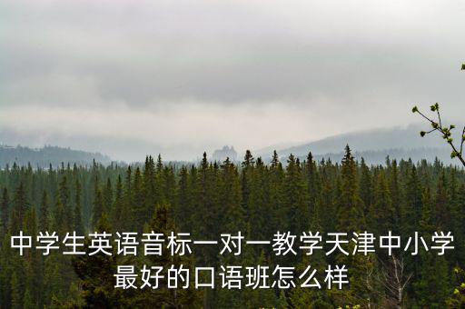 中學生英語音標一對一教學天津中小學最好的口語班怎么樣