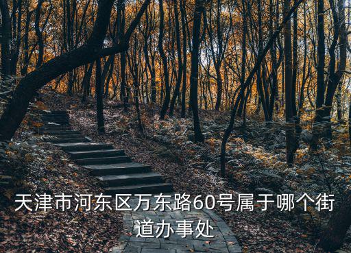 天津市河?xùn)|區(qū)萬東路60號屬于哪個街道辦事處