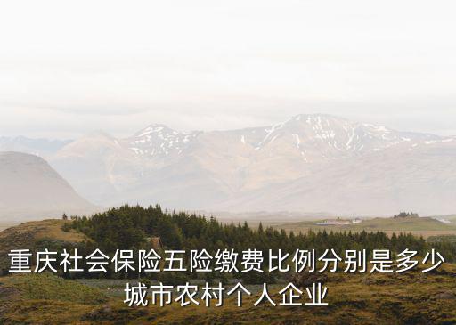 重慶社會(huì)保險(xiǎn)五險(xiǎn)繳費(fèi)比例分別是多少城市農(nóng)村個(gè)人企業(yè)