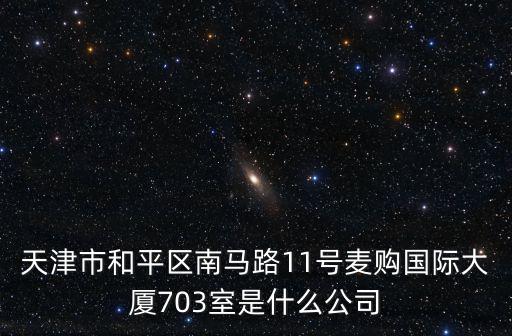 天津市和平區南馬路11號麥購國際大廈703室是什么公司