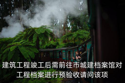 建筑工程竣工后需前往市城建檔案館對工程檔案進行預驗收請問該項