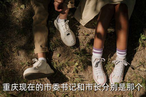 重慶現在的市委書記和市長分別是那個