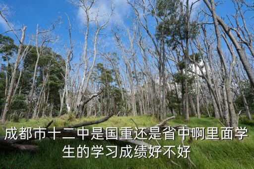 成都市十二中是國重還是省中啊里面學生的學習成績好不好
