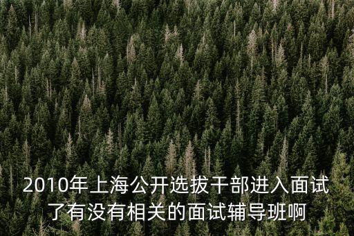 2010年上海公開選拔干部進入面試了有沒有相關(guān)的面試輔導(dǎo)班啊