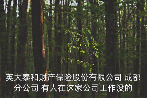 英大泰和財產(chǎn)保險股份有限公司 成都分公司 有人在這家公司工作沒的