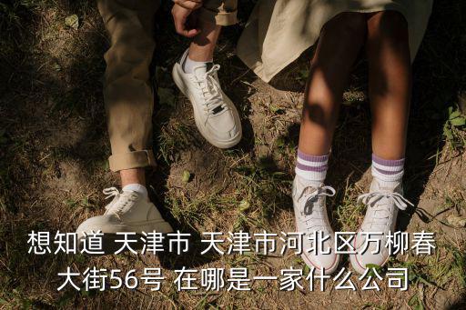 想知道 天津市 天津市河北區萬柳春大街56號 在哪是一家什么公司