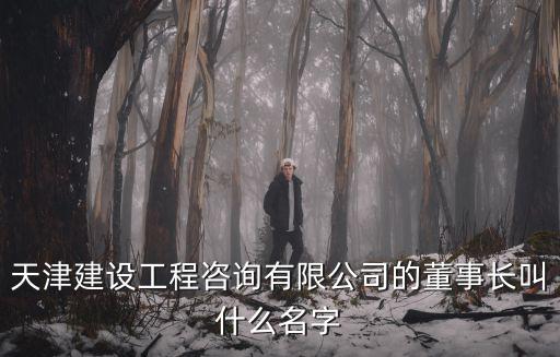 天津建設工程咨詢有限公司的董事長叫什么名字