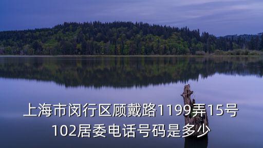 上海市閔行區(qū)顧戴路1199弄15號102居委電話號碼是多少