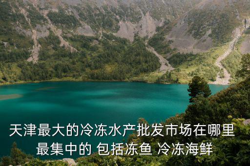 天津最大的冷凍水產(chǎn)批發(fā)市場(chǎng)在哪里 最集中的 包括凍魚(yú) 冷凍海鮮