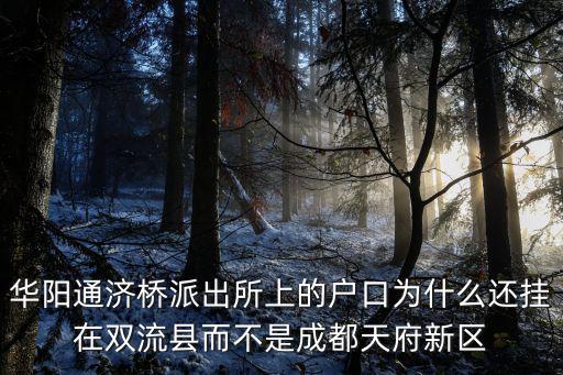 成都市華陽通濟橋派出所，華陽派出所上下班作息時間實行早九晚五嗎