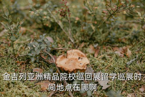 金吉列亞洲精品院校巡回展留學(xué)巡展時(shí)間地點(diǎn)在哪啊