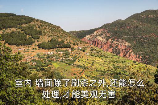  室內(nèi) 墻面除了刷漆之外,還能怎么處理,才能美觀無(wú)害