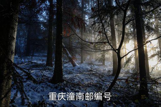 重慶市潼南區五通村郵編，0234452是重慶潼南哪條街的號碼編碼