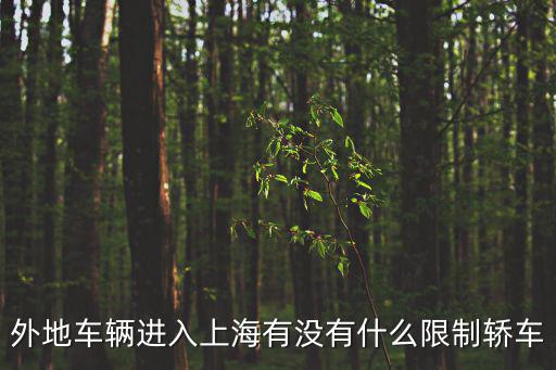 外地車輛進入上海有沒有什么限制轎車